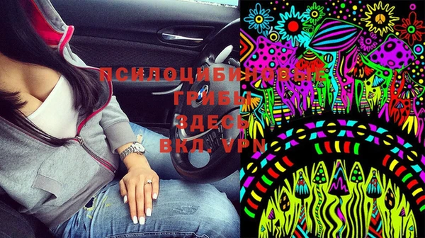 PSILOCYBIN Баксан