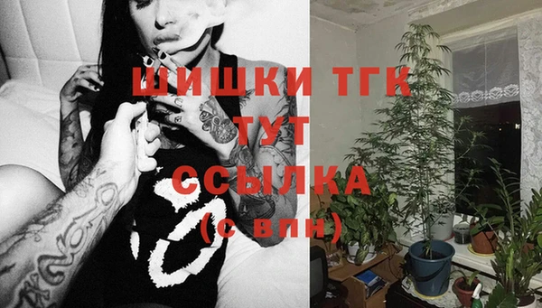 PSILOCYBIN Баксан