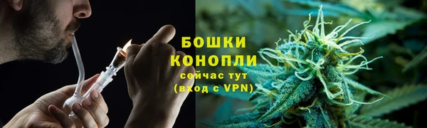 PSILOCYBIN Баксан