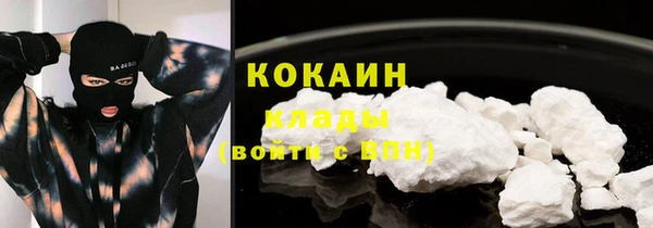 PSILOCYBIN Баксан
