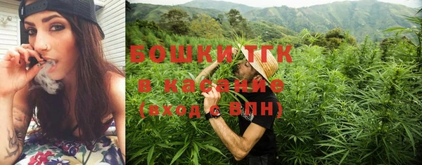 PSILOCYBIN Баксан